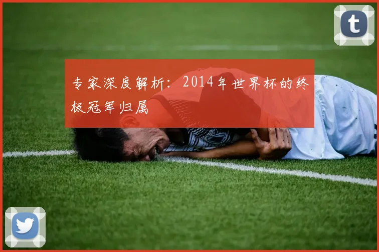 专家深度解析：2014年世界杯的终极冠军归属