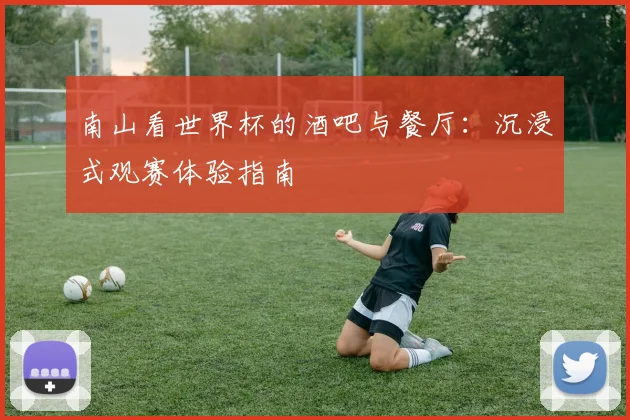 南山看世界杯的酒吧与餐厅：沉浸式观赛体验指南