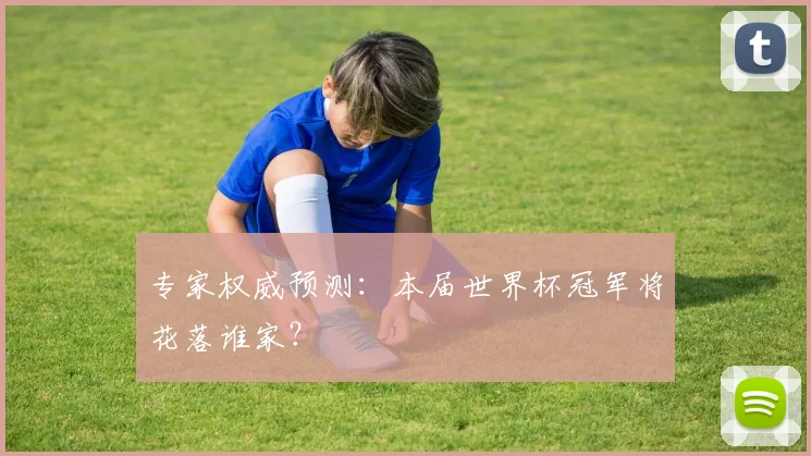 专家权威预测：本届世界杯冠军将花落谁家？